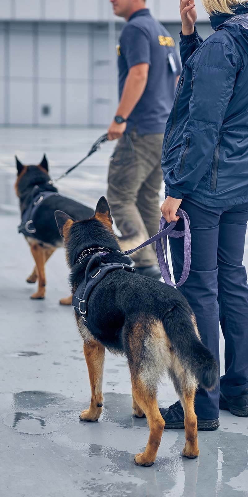 security patrol services London